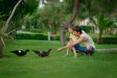 Similar image 6425491