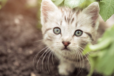 Similar image 6425508