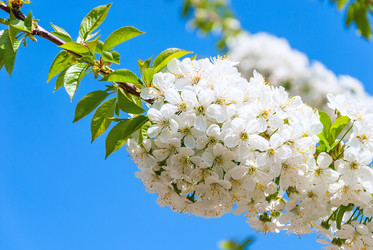 Similar image 6425534