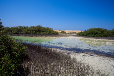 Similar image 6425541