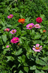 Similar image 6425549