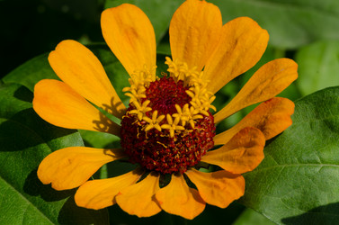 Similar image 6425550