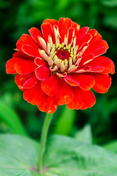 Similar image 6425551