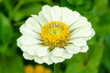 Similar image 6425552