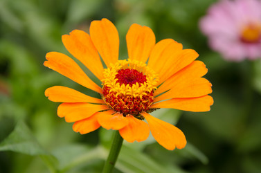 Similar image 6425553