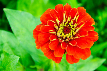 Similar image 6425554