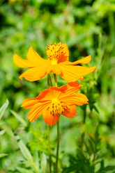 Similar image 6425555