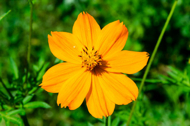 Similar image 6425574