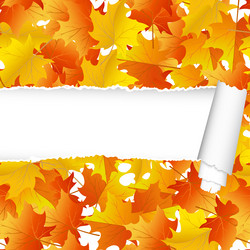 Similar image 6425664