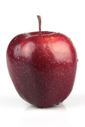 Similar image 6425704