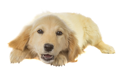 Similar image 6426080