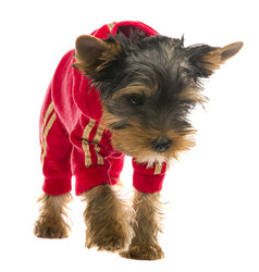 Similar image 6426088