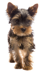 Similar image 6426089