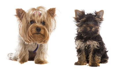 Similar image 6426092