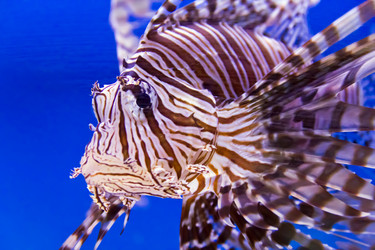 Similar image 6426431