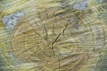 Similar image 6426434