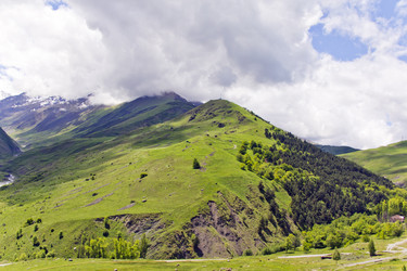 Similar image 6426447