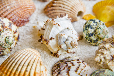 Similar image 6426457