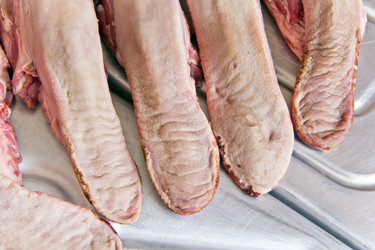 Similar image 6426462