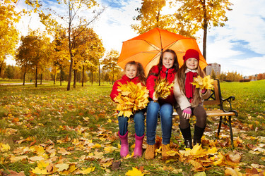 Similar image 6426576