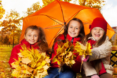 Similar image 6426585