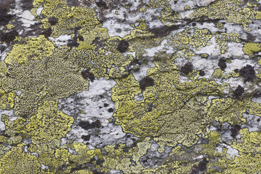 Similar image 6426696