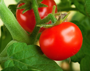 Similar image 6426719