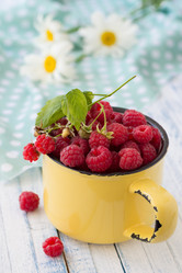 Similar image 6426730