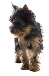 Similar image 6426773