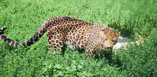 Similar image 6426844