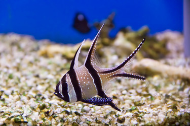 Similar image 6426888