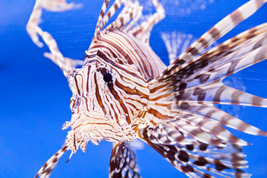 Similar image 6426889