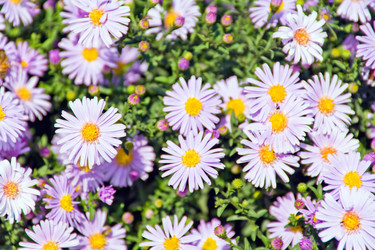 Similar image 6426890