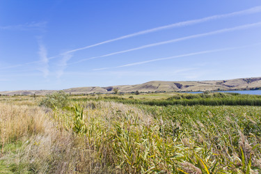 Similar image 6426892