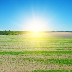 Similar image 6426983