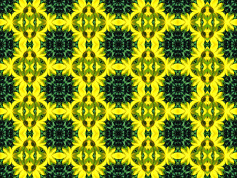 Similar image 6426985