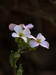 Similar image 6426986