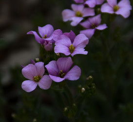 Similar image 6426987