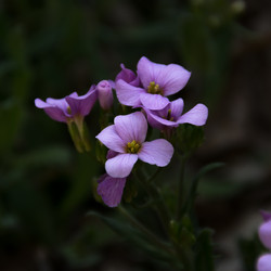 Similar image 6426988