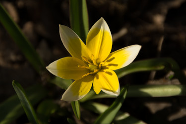 Similar image 6426990