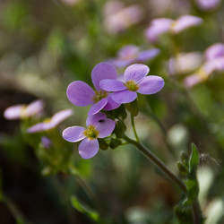 Similar image 6426993