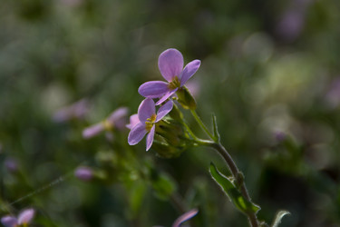 Similar image 6426994