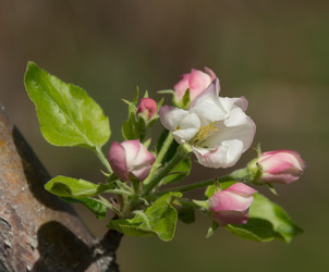 Similar image 6426995