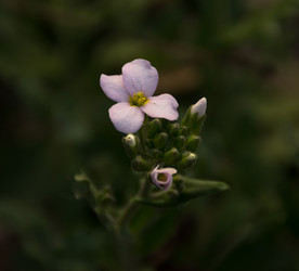 Similar image 6427013