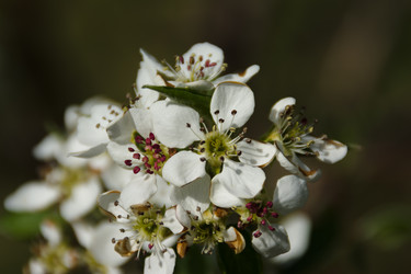 Similar image 6427014