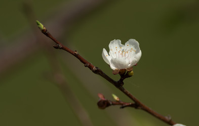 Similar image 6427015