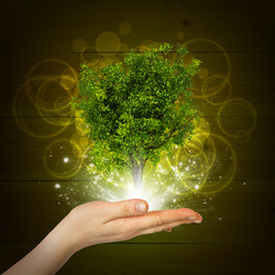 Similar image 6427044