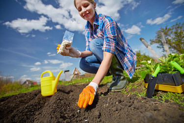 Similar image 6427177