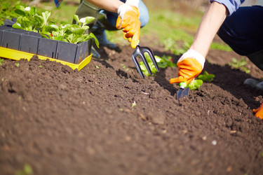 Similar image 6427178