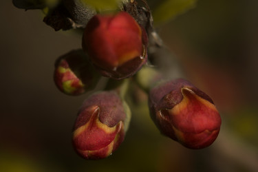 Similar image 6427328